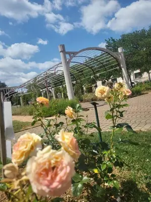 Jardin de l'établissement 【】Le Prestigieux【】 , Belfort ville