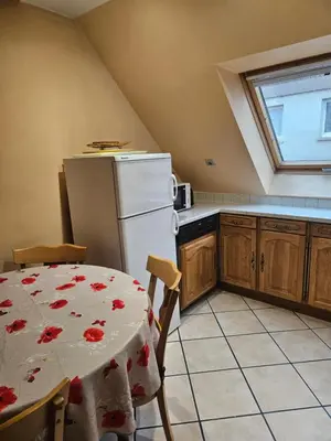 Cuisine ou kitchenette dans l'établissement GITE SPACIEUX AU COEUR DE L'ALSACE 3***