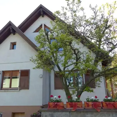 GITE SPACIEUX AU COEUR DE L'ALSACE 3***