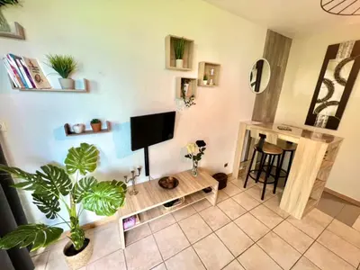Télévision ou salle de divertissement dans l'établissement Joli studio cosy, vue magnifique et terrasse privée