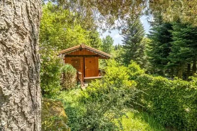 Jardin de l'établissement Le Chant du Ruisseau SPA - Sauna