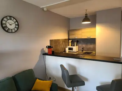 Cuisine ou kitchenette dans l'établissement Magnifique Studio 26m2