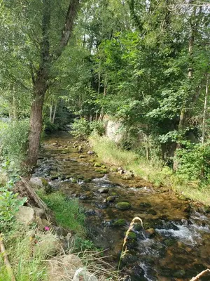 Paysage naturel près de l'appartement