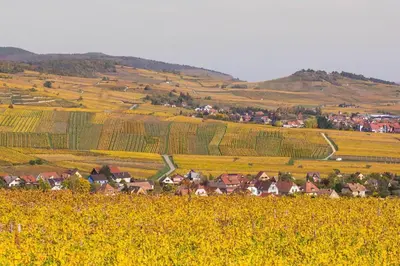 Paysage naturel près de l'appartement