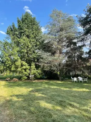 Jardin de l'établissement Chalet cosy, cadre apaisant