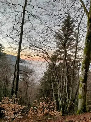 Paysage naturel près de la maison de vacances