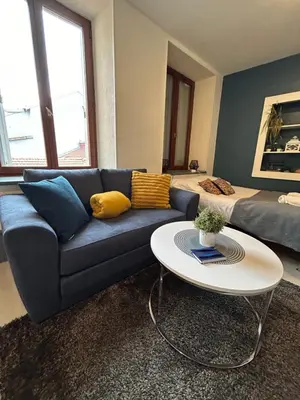 Coin salon dans l'établissement Studio de 30m² hypercentre très calme