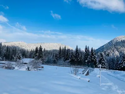 L'établissement Le Perchoir du Grand Valtin - Gîte 5 personnes - Altitude 830 en hiver