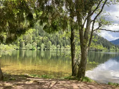 Paysage naturel près de l'appartement