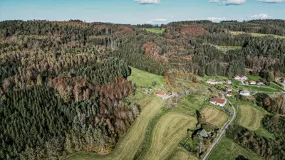 Paysage naturel près de le chalet