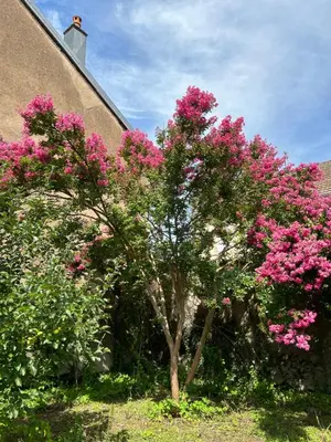 Jardin de l'établissement Le Rosier
