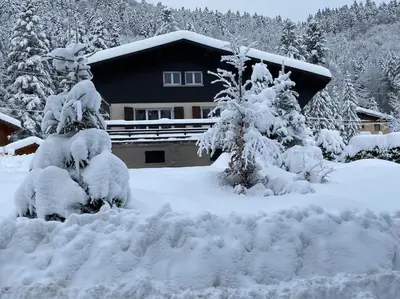 L'établissement CHALET DES HAUTS SAPINS LA BRESSE en hiver