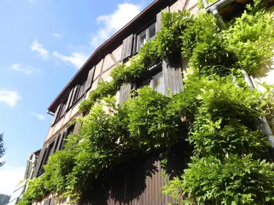 Jardin de l'établissement Nid douillet au cœur du vignoble alsacien