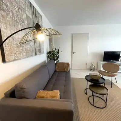 Magnifique appartement à la frontière suisse