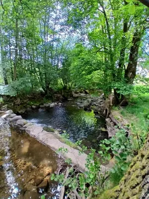 Paysage naturel près de l'appartement