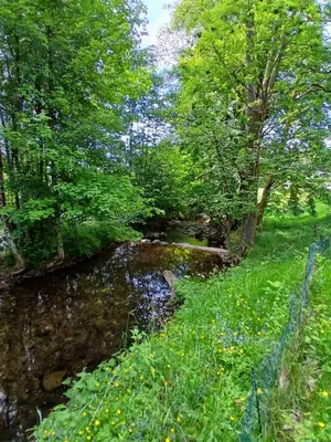 Paysage naturel près de l'appartement