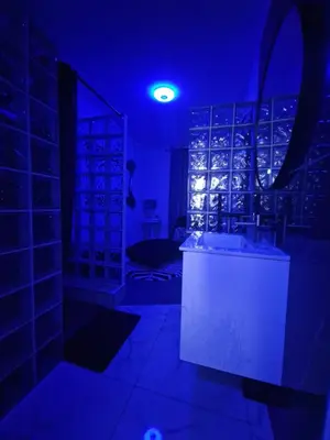 Plan de l'établissement Suite GOLD Mulhouse