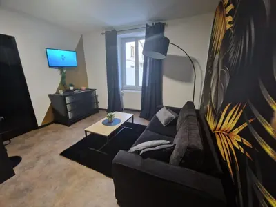Télévision ou salle de divertissement dans l'établissement Suite GOLD Mulhouse