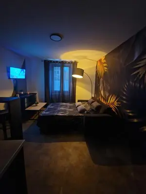 Un ou plusieurs lits dans un hébergement de l'établissement Appartement spacieux MULHOUSE