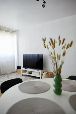 Télévision ou salle de divertissement dans l'établissement L'Alsacien Zen