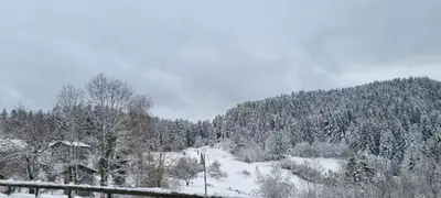L'établissement Studio type chalet en hiver