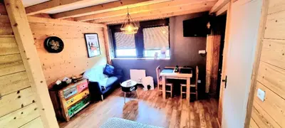 Télévision ou salle de divertissement dans l'établissement Studio type chalet