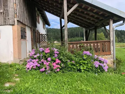 Jardin de l'établissement Chez Odile - Charmante ferme rénovée