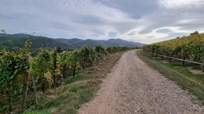 Paysage naturel près de la maison de vacances