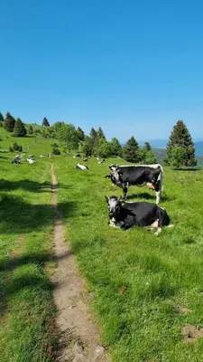 Paysage naturel près de la maison de vacances