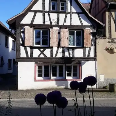 Gîte Les Hirondelles - Spacieux et Typique Alsacien - Commerces à Proximité - Proche Sélestat