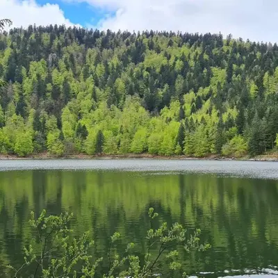 Paysage naturel près de l'appartement