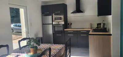 Cuisine ou kitchenette dans l'établissement Magnifique appartement le marronnier