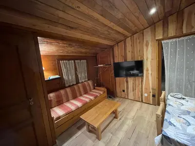 Télévision ou salle de divertissement dans l'établissement Chalet terrain clôturé, bien placé, 2 chambres