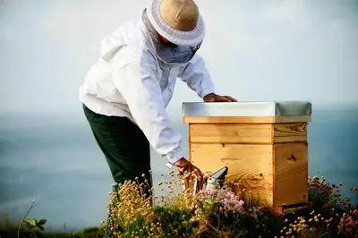 Clients de l'établissement LE GITE DES ABEILLES