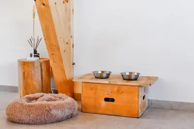 Plan de l'établissement Casa el nido