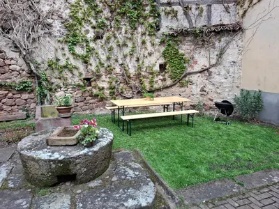 Jardin de l'établissement Gîte Entre Vignes et Vergers maison historique