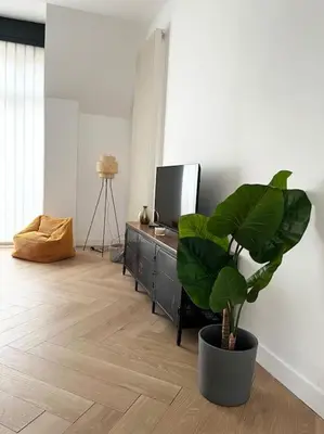 Télévision ou salle de divertissement dans l'établissement Cocon d'Alsace