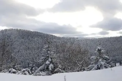 L'établissement Gîtel'harmonie2 en hiver