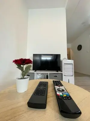 Télévision ou salle de divertissement dans l'établissement Appartement 3 personnes, Frontière Suisse (Bâle)
