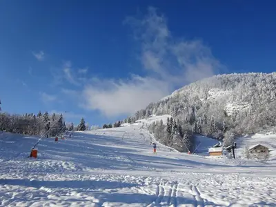 L'établissement Appartement cosy à Bussang en hiver