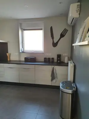 Cuisine ou kitchenette dans l'établissement Appartement, proche Europa-Park Colmar Strasbourg