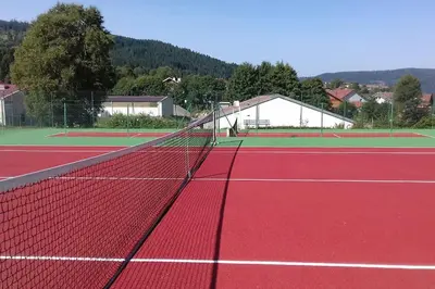 Tennis ou squash au sein de le chalet ou à proximité