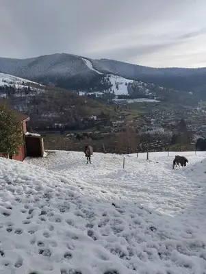 L'établissement Maison de montagne avec vue panoramique en hiver