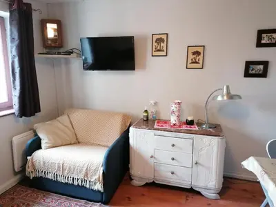 Télévision ou salle de divertissement dans l'établissement La Maison Vigneronne