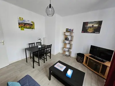 Télévision ou salle de divertissement dans l'établissement Le nid des cigognes à Colmar centre, proche gare, marchés de Noël