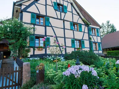 Jardin de l'établissement Gîte alsacien rénové avec jardin près de la Suisse et de l'Allemagne, idéal pour familles et amis - FR-1-744-29