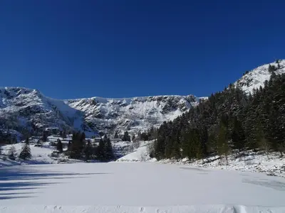 L'établissement Gîte au calme avec 2 chambres, terrasse, jardin, BBQ et parking inclus à Breitenbach-Haut-Rhin - FR-1-744-42 en hiver