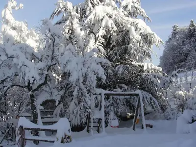L'établissement Gîte au calme avec 2 chambres, terrasse, jardin, BBQ et parking inclus à Breitenbach-Haut-Rhin - FR-1-744-42 en hiver