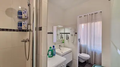 Salle de bains dans l'établissement City Center 4 people King Bed, near Switzerland, G'ermany, Near Airport, Free Parking