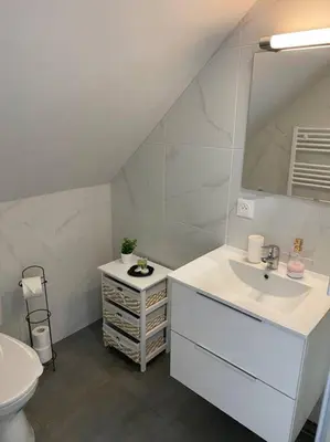 Salle de bains dans l'établissement Esprit Violet - Joli Studio Salengro - Sauna & Sport club